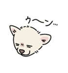 おーちゃん is DOG！！（個別スタンプ：2）