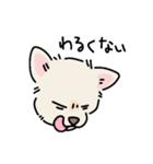 おーちゃん is DOG！！（個別スタンプ：3）