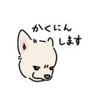 おーちゃん is DOG！！（個別スタンプ：9）