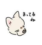 おーちゃん is DOG！！（個別スタンプ：10）