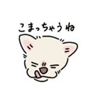 おーちゃん is DOG！！（個別スタンプ：11）