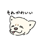 おーちゃん is DOG！！（個別スタンプ：12）
