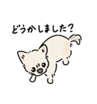 おーちゃん is DOG！！（個別スタンプ：13）