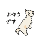おーちゃん is DOG！！（個別スタンプ：14）