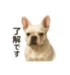 元野犬ドラ＆フレブルさんちゃん（個別スタンプ：2）