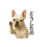 元野犬ドラ＆フレブルさんちゃん（個別スタンプ：4）