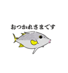 堤防で立つ魚【魚種】ギマ（個別スタンプ：3）