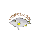 堤防で立つ魚【魚種】ギマ（個別スタンプ：8）