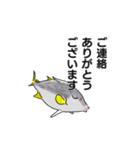 堤防で立つ魚【魚種】ギマ（個別スタンプ：9）