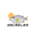 堤防で立つ魚【魚種】ギマ（個別スタンプ：16）