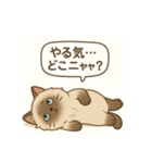 ヒマラヤン猫×天然ドジっ子 LINEスタンプ（個別スタンプ：1）