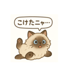 ヒマラヤン猫×天然ドジっ子 LINEスタンプ（個別スタンプ：2）