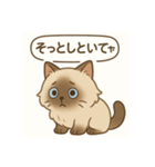 ヒマラヤン猫×天然ドジっ子 LINEスタンプ（個別スタンプ：4）