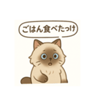 ヒマラヤン猫×天然ドジっ子 LINEスタンプ（個別スタンプ：5）