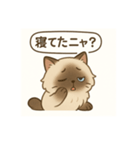 ヒマラヤン猫×天然ドジっ子 LINEスタンプ（個別スタンプ：6）