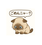 ヒマラヤン猫×天然ドジっ子 LINEスタンプ（個別スタンプ：7）