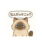 ヒマラヤン猫×天然ドジっ子 LINEスタンプ（個別スタンプ：8）