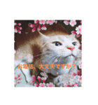 サヨナラ（個別スタンプ：1）