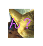 サヨナラ（個別スタンプ：2）