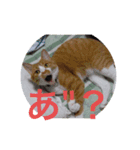 サヨナラ（個別スタンプ：3）
