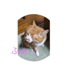 サヨナラ（個別スタンプ：5）
