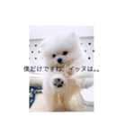 サヨナラ（個別スタンプ：7）