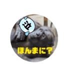 チンパンとちっこいの（個別スタンプ：7）