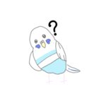 インコちゃん今までのスタンプまとめ（個別スタンプ：11）