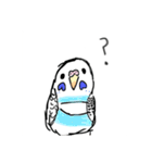 インコちゃん今までのスタンプまとめ（個別スタンプ：24）