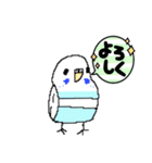 インコちゃん今までのスタンプまとめ（個別スタンプ：25）