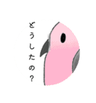 インコちゃん今までのスタンプまとめ（個別スタンプ：33）