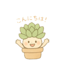 多肉ちゃん。（個別スタンプ：1）