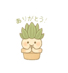 多肉ちゃん。（個別スタンプ：3）