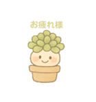 多肉ちゃん。（個別スタンプ：4）