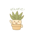 多肉ちゃん。（個別スタンプ：5）