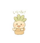 多肉ちゃん。（個別スタンプ：7）