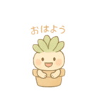 多肉ちゃん。（個別スタンプ：11）