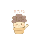多肉ちゃん。（個別スタンプ：15）
