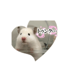 おもちちゃん(ハムスター)（個別スタンプ：2）