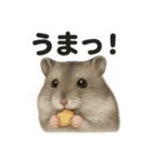 【褒め上手】ジャンガリアンハムスター（個別スタンプ：10）