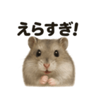 【褒め上手】ジャンガリアンハムスター（個別スタンプ：13）