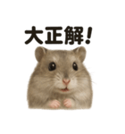 【褒め上手】ジャンガリアンハムスター（個別スタンプ：15）