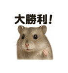 【褒め上手】ジャンガリアンハムスター（個別スタンプ：16）