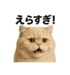 【褒め上手】リアルなペルシャ猫のLINE（個別スタンプ：1）