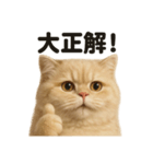 【褒め上手】リアルなペルシャ猫のLINE（個別スタンプ：3）