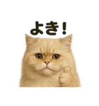 【褒め上手】リアルなペルシャ猫のLINE（個別スタンプ：8）
