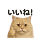 【褒め上手】リアルなペルシャ猫のLINE（個別スタンプ：11）