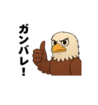 動物の日常会話03・ハクトウワシ・鷲（個別スタンプ：5）