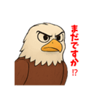動物の日常会話03・ハクトウワシ・鷲（個別スタンプ：9）