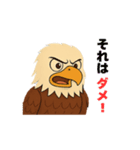 動物の日常会話03・ハクトウワシ・鷲（個別スタンプ：11）